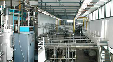 About Image01